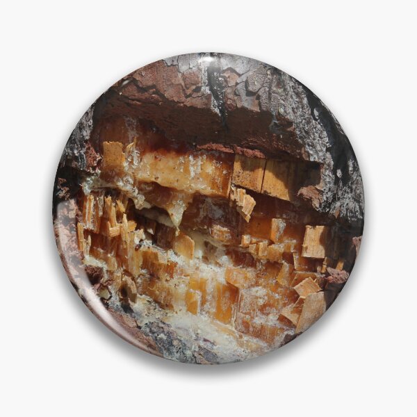 Item preview, Pine Tree Sap designed and sold by Cynthia48.