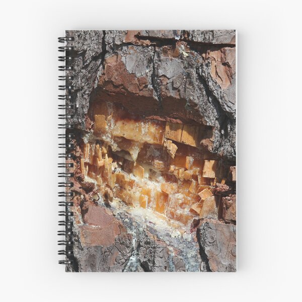 Item preview, Pine Tree Sap designed and sold by Cynthia48.