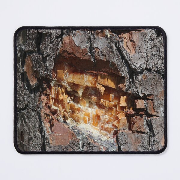 Item preview, Pine Tree Sap designed and sold by Cynthia48.