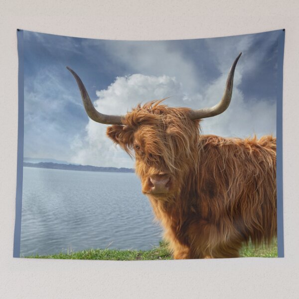 Item preview, Highland Cow, Applecross NC500 Scotland. designed and sold by PhotosEcosse.
