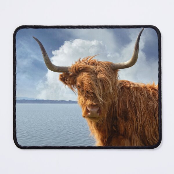 Item preview, Highland Cow, Applecross NC500 Scotland. designed and sold by PhotosEcosse.