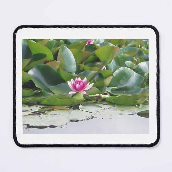 Item preview, Lilly designed and sold by Sheila Williams.
