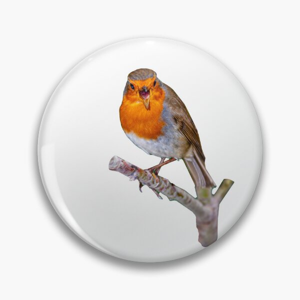 Item preview, Robin singing for his supper designed and sold by Dalyndigital Photography.
