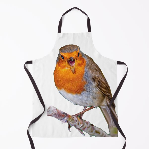 Item preview, Robin singing for his supper designed and sold by Dalyndigital Photography.
