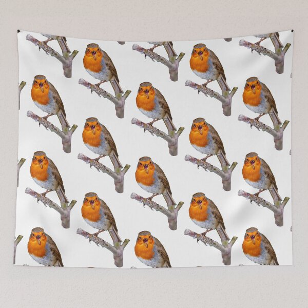 Item preview, Robin singing for his supper designed and sold by Dalyndigital Photography.