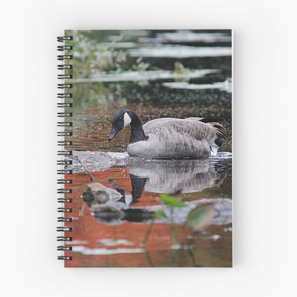 Item preview, Reflecting designed and sold by Linda Crockett.