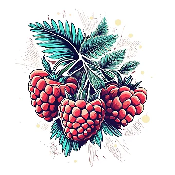 Artwork thumbnail, Raspberry by Coldhand34
