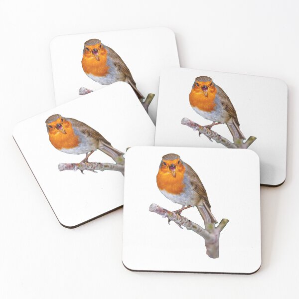 Item preview, Robin singing for his supper designed and sold by Dalyndigital Photography.