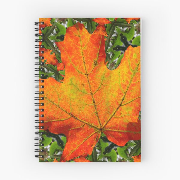 Item preview, Autumn Leaves Collage designed and sold by BostonArcImage.