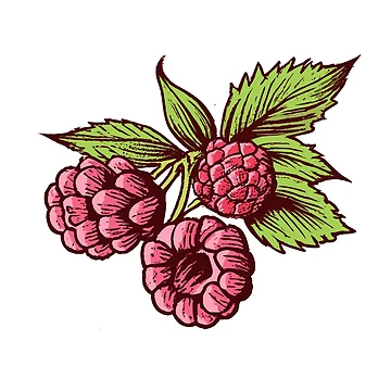 Artwork thumbnail, Raspberry by Coldhand34