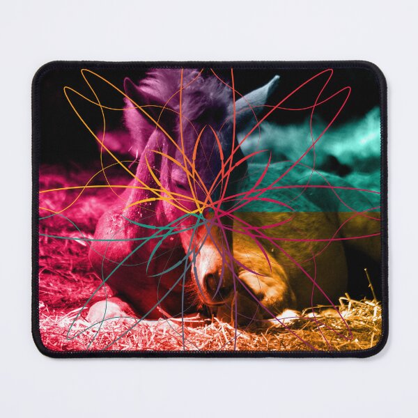 Item preview, Young foal  designed and sold by Lee's Place.