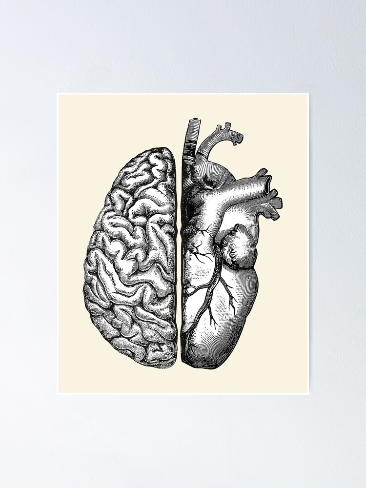 Vintage style half brain half heart, brain or heart and