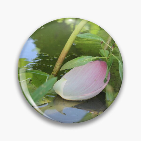 Item preview, Lotus flower petal in water designed and sold by lex  Colston.