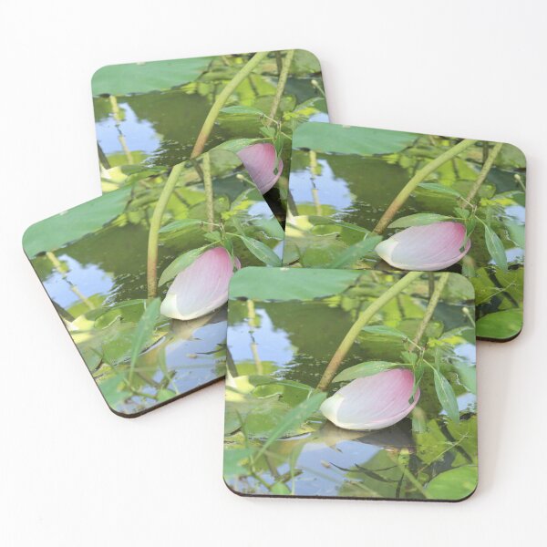 Item preview, Lotus flower petal in water designed and sold by lex  Colston.