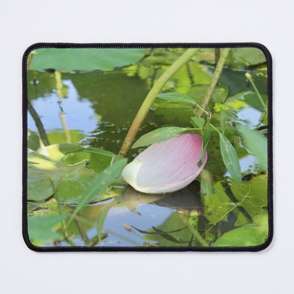 Item preview, Lotus flower petal in water designed and sold by lex  Colston.