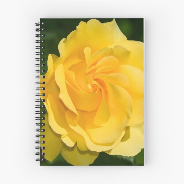 Item preview, Sparkle & Shine Rose designed and sold by Glenn Franco Simmons.