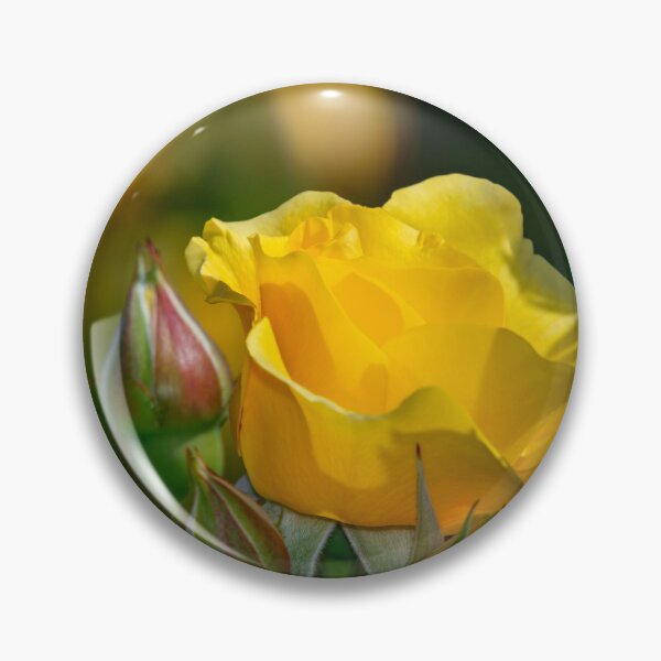Item preview, Sparkle & Shine Rose designed and sold by Glenn Franco Simmons.