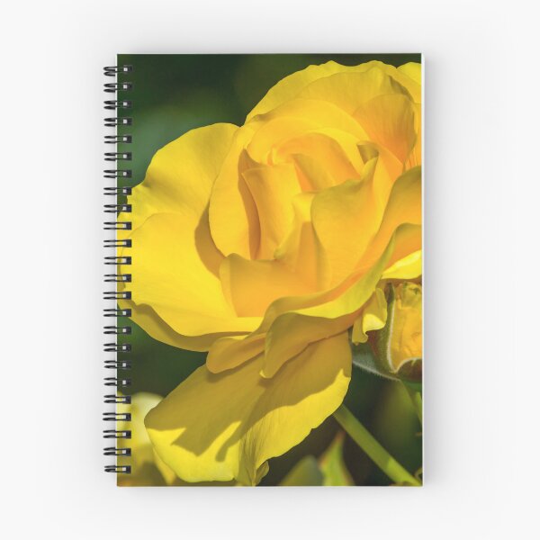 Item preview, Sparkle & Shine Rose designed and sold by Glenn Franco Simmons.