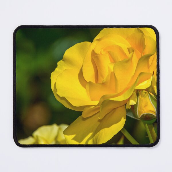 Item preview, Sparkle & Shine Rose designed and sold by Glenn Franco Simmons.