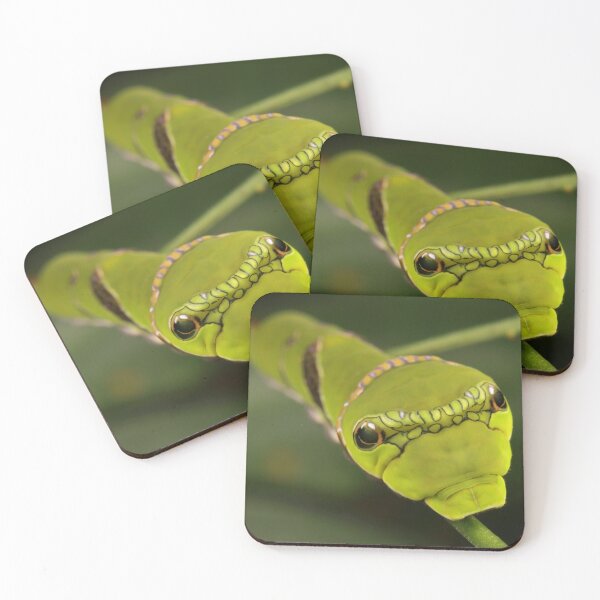 Item preview, Red Helen Swallowtail Butterfly Caterpillar  designed and sold by itchydogimages.