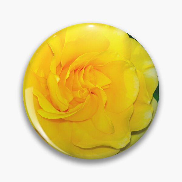 Item preview, Sparkle & Shine Rose designed and sold by Glenn Franco Simmons.