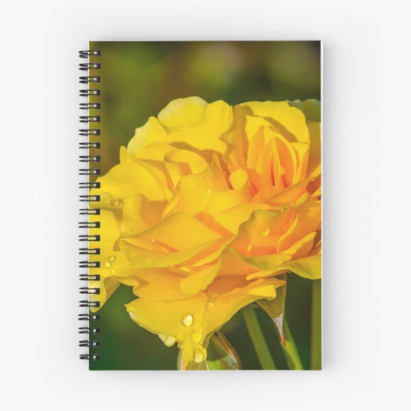 Item preview, Sparkle & Shine Rose designed and sold by Glenn Franco Simmons.