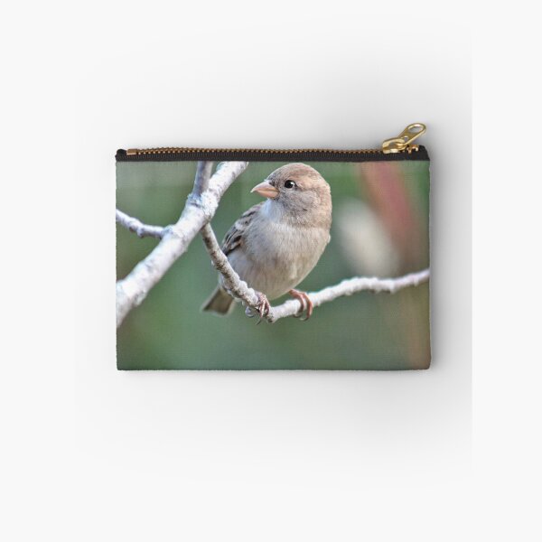 Item preview, Sweet female house sparrow designed and sold by Linda Crockett.