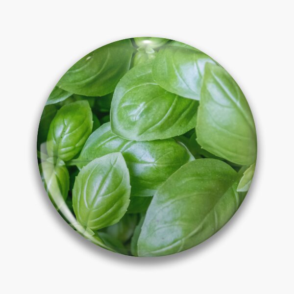 Item preview, Fresh basil with intense green leaves for cooking enthusiasts designed and sold by Your Happy Life.