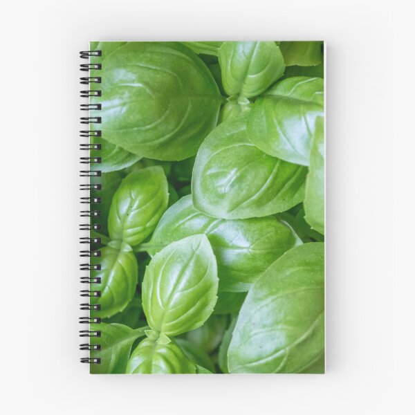 Item preview, Fresh basil with intense green leaves for cooking enthusiasts designed and sold by Your Happy Life.