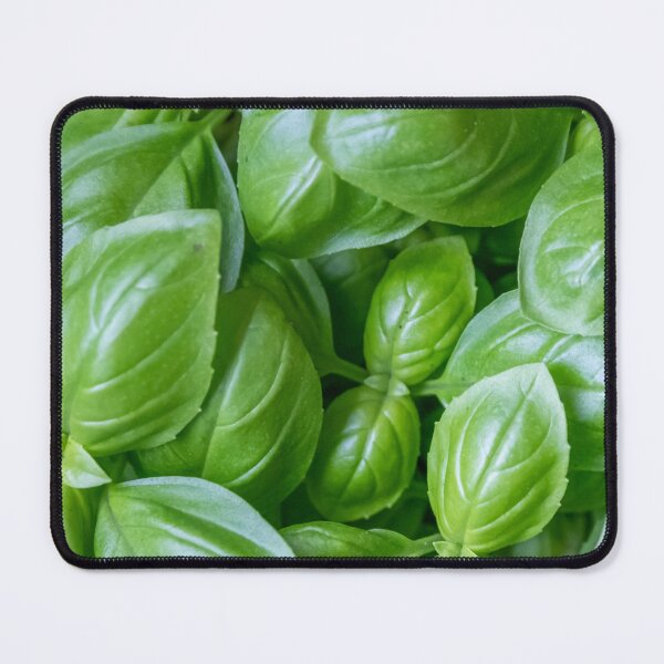 Item preview, Fresh basil with intense green leaves for cooking enthusiasts designed and sold by Your Happy Life.