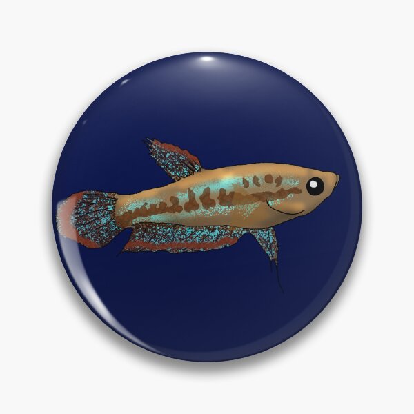 Item preview, Sparkling Dwarf Gourami designed and sold by Moopichino.