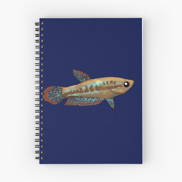 Item preview, Sparkling Dwarf Gourami designed and sold by Moopichino.