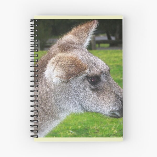 Item preview, Kangaroo - Grampians National Park, Vic. Australia designed and sold by EdsMum.