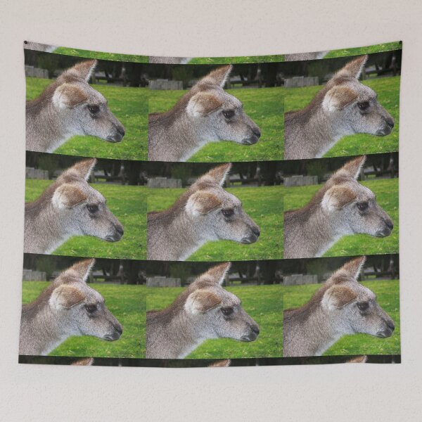 Item preview, Kangaroo - Grampians National Park, Vic. Australia designed and sold by EdsMum.