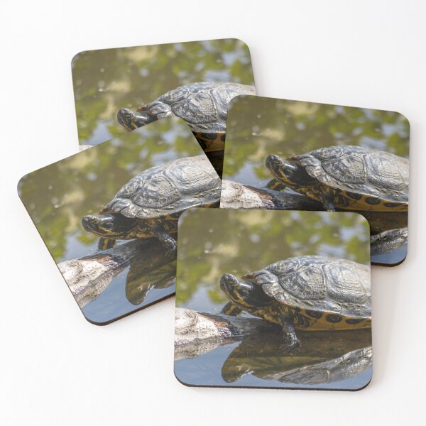 Item preview, Pond turtle sunbathes on the lake shore designed and sold by Your Happy Life.