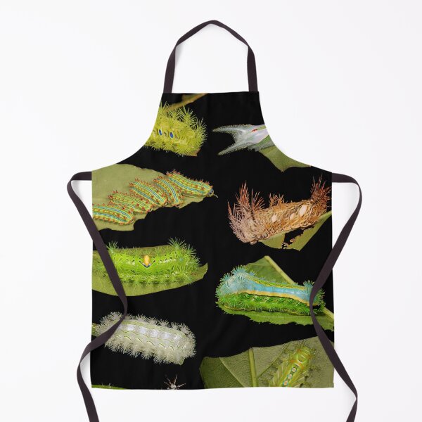 Item preview, Limacodidae of Yunnan, China designed and sold by itchydogimages.