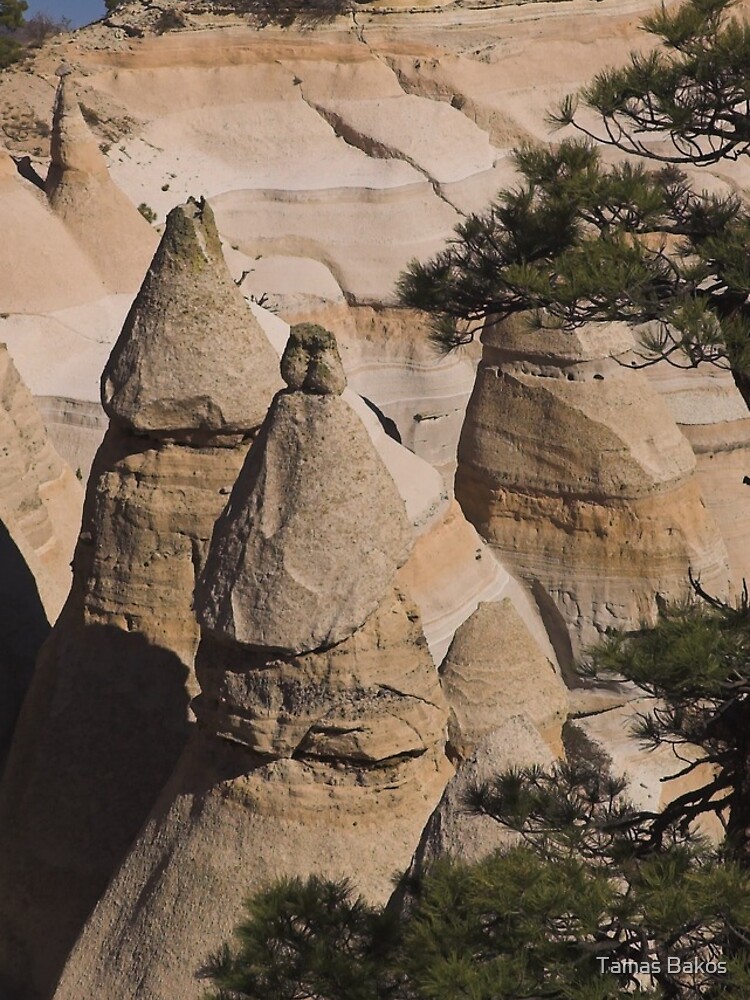Thumbnail 4 of 4, iPhone Case, Tent Rocks designed and sold by bakost.