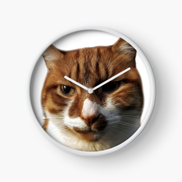 O'Malley - this crime shall not go unpunished Clock