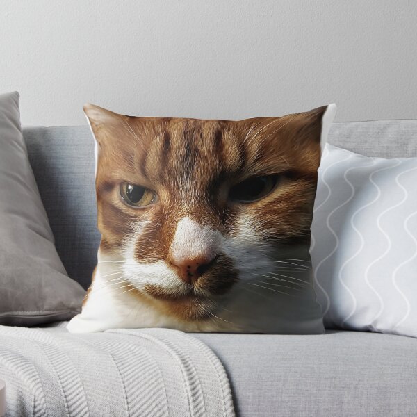 O'Malley - this crime shall not go unpunished Throw Pillow