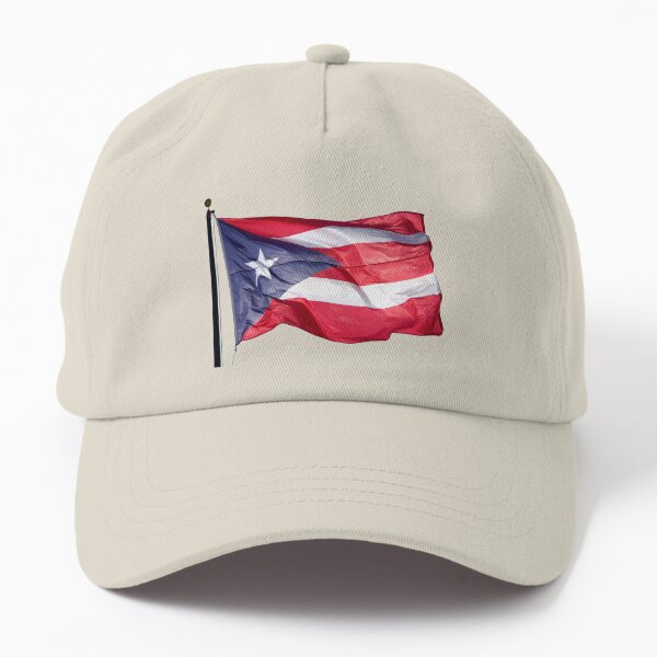 Clemente Swinging Flag Cap