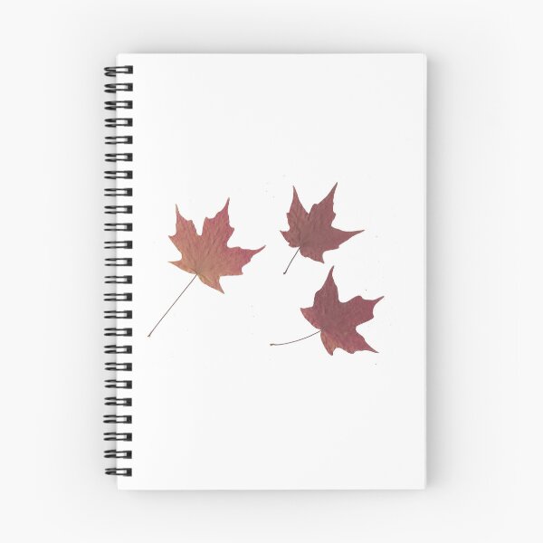 Item preview, Pressed Autumn Maple Leaves designed and sold by peacefulpanini.