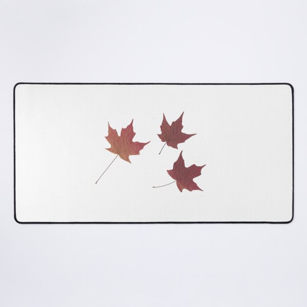 Item preview, Pressed Autumn Maple Leaves designed and sold by peacefulpanini.