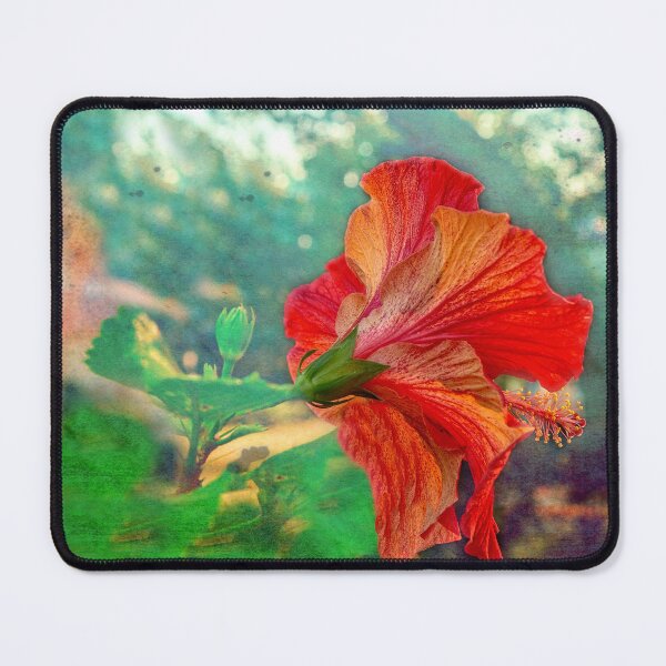 Item preview, Hibiscus Flame designed and sold by Kay Brewer.