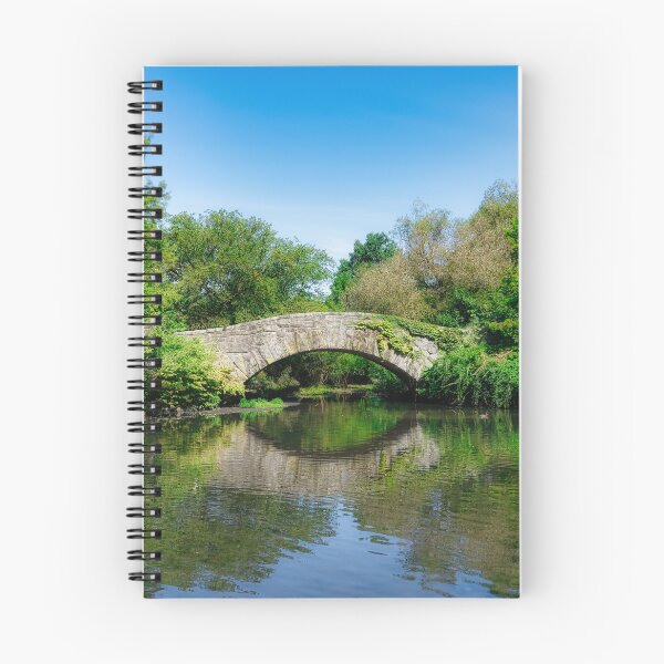 Item preview, Gapstow Bridge Central Park New York City designed and sold by pcole123.