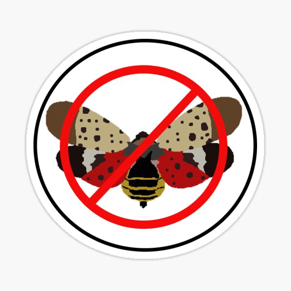 Item preview, Anti-Lanternfly Squad designed and sold by Mac-n-bees.