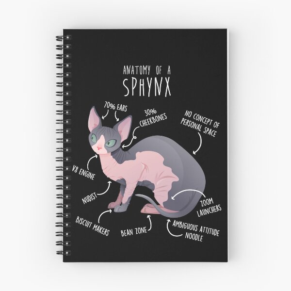 Item preview, Sphynx Cat Anatomy designed and sold by Clara Hollins.