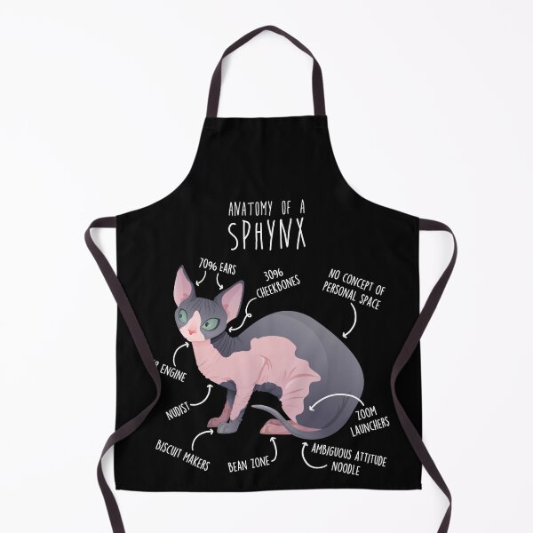 Item preview, Sphynx Cat Anatomy designed and sold by Clara Hollins.