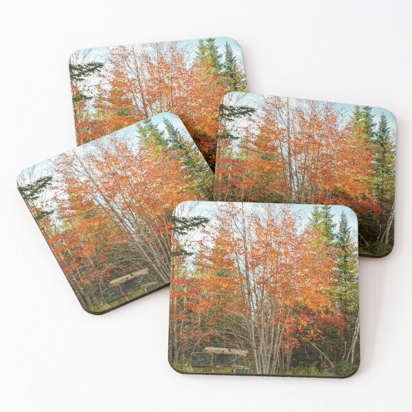 Item preview, Traps in the woods designed and sold by ECPhotos.