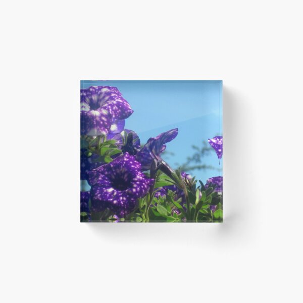 Item preview, Violet Flowers 6 designed and sold by Jaeda DeWalt.