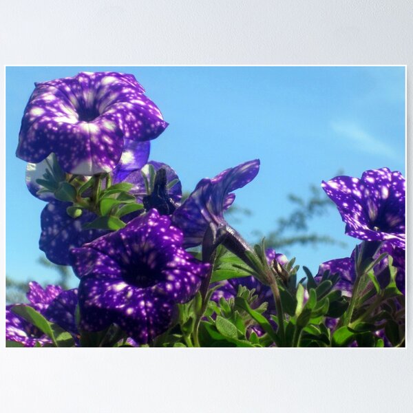 Item preview, Violet Flowers 6 designed and sold by Jaeda DeWalt.